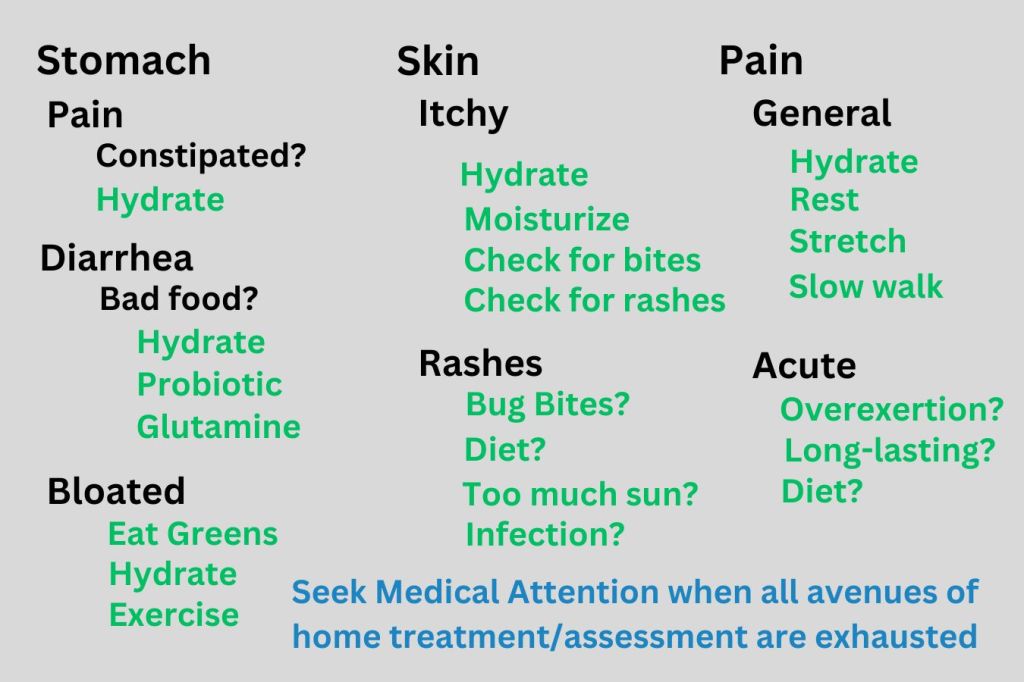 Health Anxiety Flow Chart